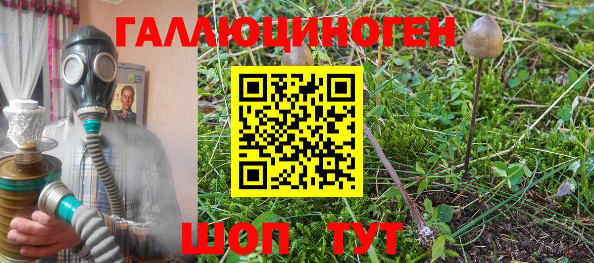 Грозный  Галлюциногенные грибы прущие грибы  Вход с VPN 